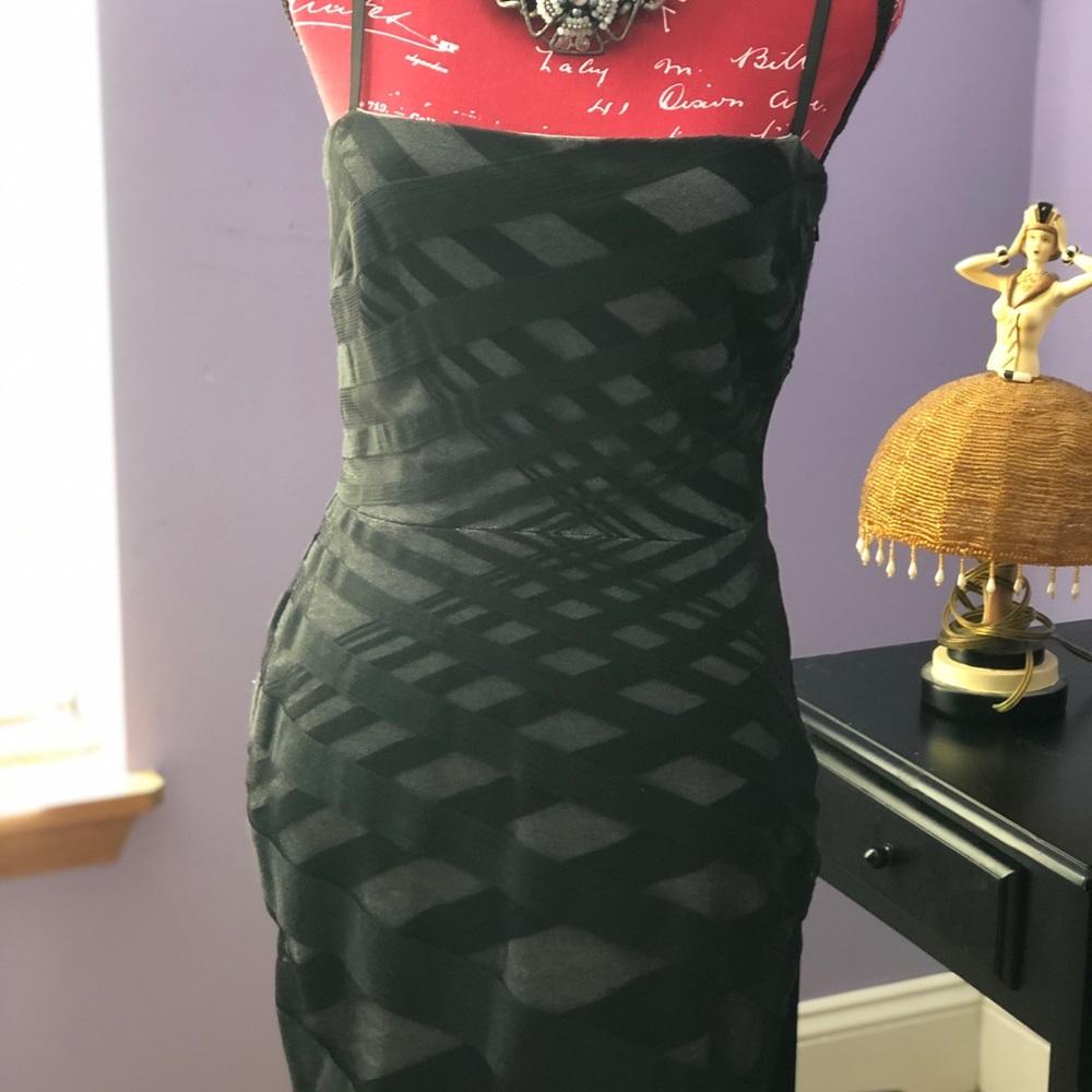 Robert Rodriguez jersey and sheer dress.